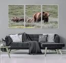 Wildlife Photography of 399 Grizzly Bear Cubs | Queen of the
