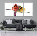 Cardinal Bird Canvas Wall Art - Male and Female Cardinal