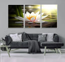 Lotus Flower Wall Art Canvas Print, Water Lily Large Wall