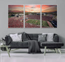 Indiana Memorial Stadium Wall Art Canvas Print, Framed