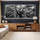 Black and White Old Angel Oak Tree Wall Art Canvas Print