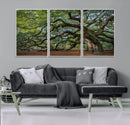 Historic Tree Wall Art – Framed Mossy Branch Canvas Artwork, by MyGreatCanvas | Canvas Wall Art Prints | Photo Prints & Wall Decor