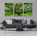 Ancient Tree Wall Art Canvas Print, Framed Sprawling by MyGreatCanvas | Canvas Wall Art Prints | Photo Prints & Wall Decor
