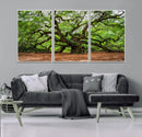 Majestic Oak Tree Wall Art Canvas Print – Ancient Branches by MyGreatCanvas | Canvas Wall Art Prints | Photo Prints & Wall Decor