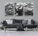 Ancient Oak Wall Art Canvas Print – Gnarled Tree Twisted by MyGreatCanvas | Canvas Wall Art Prints | Photo Prints & Wall Decor