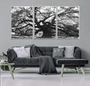 Ancient Oak Wall Art Canvas Print, Majestic Twisted Branches by MyGreatCanvas | Canvas Wall Art Prints | Photo Prints & Wall Decor