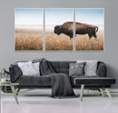 Wild Bison Wall Art – Framed Prairie Landscape Canvas by MyGreatCanvas | Canvas Wall Art Prints | Photo Prints & Wall Decor