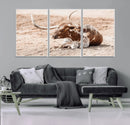 Texas Longhorn Wall Art – Framed Resting Bull Canvas by MyGreatCanvas | Canvas Wall Art Prints | Photo Prints & Wall Decor