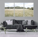 Charming Daisy Field Wall Art Canvas Print – Framed Pastel