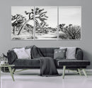 Joshua Tree Wall Art – Black & White Canvas Print, Nature by MyGreatCanvas | Canvas Wall Art Prints | Photo Prints & Wall Decor