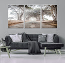 Cypress Tunnel Wall Art – Framed Misty Road Canvas Artwork, by MyGreatCanvas | Canvas Wall Art Prints | Photo Prints & Wall Decor