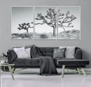 Joshua Tree Wall Art Canvas Print – Framed Black White