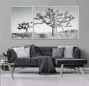 Joshua Trees Wall Art Canvas Print – Framed Black White