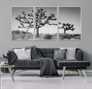 Joshua Tree Wall Art Canvas Print – Framed Monochrome Desert