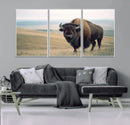 Bison Wall Art Canvas Print – Framed Buffalo American Bison