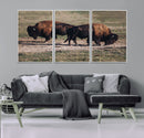 Bison Wall Art Canvas Print – Framed Western Wildlife Modern by MyGreatCanvas | Canvas Wall Art Prints | Photo Prints & Wall Decor
