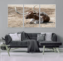 Texas Longhorn Wall Art Canvas Print – Framed Country Living