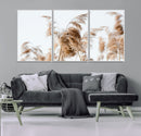 Pampas Grass Wall Art Canvas Print – Framed Neutral Tones