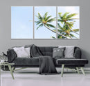 Palm Trees Wall Art Canvas Print – Framed Tropical Coastal