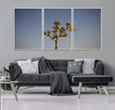 Joshua Tree Wall Art Canvas Print – Framed Southwestern