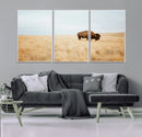 Buffalo Wall Art Canvas Print – Framed Western Wildlife by MyGreatCanvas | Canvas Wall Art Prints | Photo Prints & Wall Decor