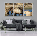 Wild Elk Wall Art Canvas Print – Framed Neutral Wildlife