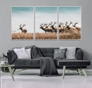 Elk Herd Wall Art Canvas Print – Framed Wildlife Photography