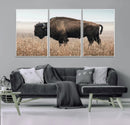 American Bison Wall Art Canvas Print – Majestic Buffalo