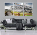 Sakura Cherry Blossom Pathway Canvas Wall Art – Tranquil