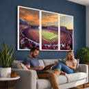 Dooley Stadium Wall Art, Sports Arena Canvas Print, Dooley