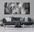 Wild Old Elephant Wall Art Canvas Print