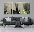 Wild Elephant Wall Art Canvas Print by MyGreatCanvas | Canvas Wall Art Prints | Photo Prints & Wall Decor