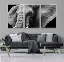 Big Elephant Close Up Wall Art Canvas Print