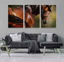 Majestic Brown Horse Wall Art Canvas Print – Framed