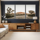 Joshua Tree Desert Wall Art Canvas Print, Minimal by MyGreatCanvas | Canvas Wall Art Prints | Photo Prints & Wall Decor