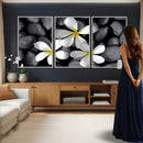 Plumeria Frangipani Black Stone Canvas | White Flower Spa by MyGreatCanvas | Canvas Wall Art Prints | Photo Prints & Wall Decor