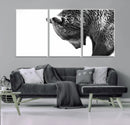 Black and White Grizzly 399 Bear Canvas Print Wall Art | by MyGreatCanvas | Canvas Wall Art Prints | Photo Prints & Wall Decor