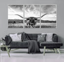 Longhorn Black and White Wall Art – Rustic Western Bull