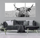 Newfoundland Cow Art Wall Art, Black White Cow Art Wall Art