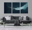 Swimmer Wall Art Canvas Print
