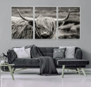Cow Focus Canvas Wall Art Print by MyGreatCanvas | Canvas Wall Art Prints | Photo Prints & Wall Decor