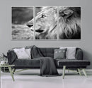 African Lion Wall Art Canvas Print – Majestic Wildlife