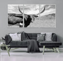 Cattle Wall Art Longhorn Cow Canvas Print