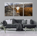 Texas Longhorn Canvas Wall Art - Longhorn Steer Canvas Wall by MyGreatCanvas | Canvas Wall Art Prints | Photo Prints & Wall Decor