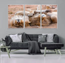 Lion Pair Wall Art Canvas Print – Framed Wildlife Scene with