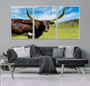 Longhorn and Cow Wall Art, Country Cow Wall Decor Canvas by MyGreatCanvas | Canvas Wall Art Prints | Photo Prints & Wall Decor
