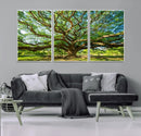 Majestic Oak Tree Wall Art – Serene Nature Canvas Print with