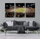 Washington-Grizzly Stadium Canvas Wall Art – Exciting Game
