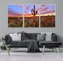 Arizona Desert Wall Art Canvas Print - Framed Deser Sunset
