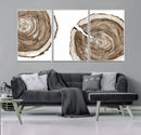 Wood Tree Ring Wall Art Canvas Prints, Tree Rings –